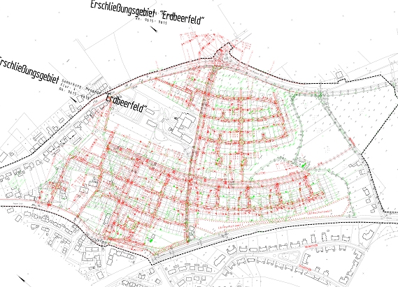 Erdbeerfeld